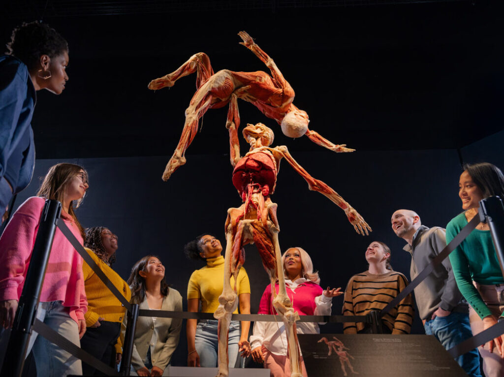 Franklin Institute Body Worlds Institute